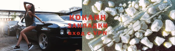 прущие грибы Абинск