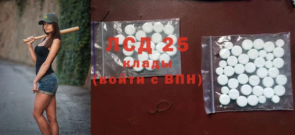 молекула духа Тайга