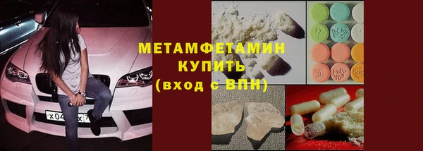 прущие грибы Сясьстрой