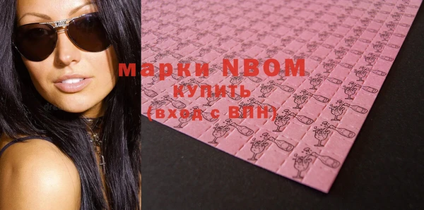 прущие грибы Сясьстрой
