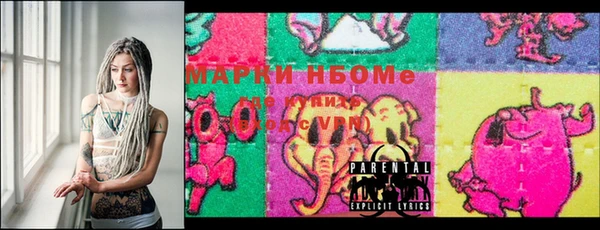 прущие грибы Абинск