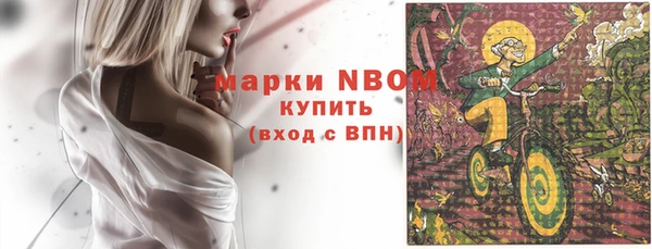 прущие грибы Сясьстрой