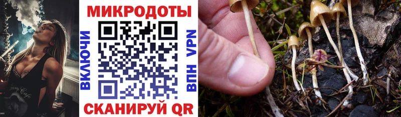 Псилоцибиновые грибы мицелий  где купить наркотик  omg как войти  Липецк 